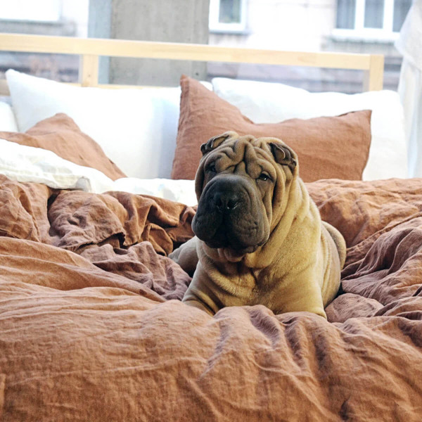 4 piece linen bedding set in tobacco 4